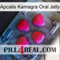 Apcalis Kamagra Oral Jelly 13